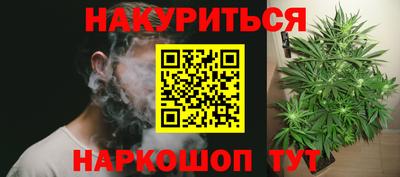 гидра Будённовск