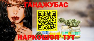 гидра Будённовск