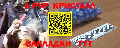 гидра Будённовск