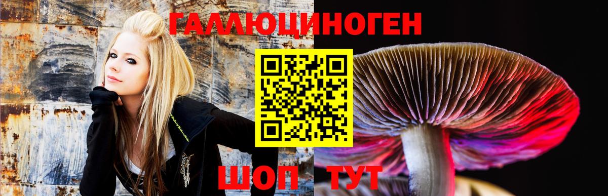 Галлюциногенные грибы мухоморы  Вход с VPN  цены наркотик  Ахтубинск 